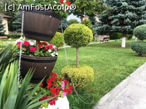 [P11] Parcul din Mihail Kogălniceanu » foto by AZE
 - 
<span class="allrVoted glyphicon glyphicon-heart hidden" id="av1337755"></span>
<a class="m-l-10 hidden" id="sv1337755" onclick="voting_Foto_DelVot(,1337755,4623)" role="button">șterge vot <span class="glyphicon glyphicon-remove"></span></a>
<a id="v91337755" class=" c-red"  onclick="voting_Foto_SetVot(1337755)" role="button"><span class="glyphicon glyphicon-heart-empty"></span> <b>LIKE</b> = Votează poza</a> <img class="hidden"  id="f1337755W9" src="/imagini/loader.gif" border="0" /><span class="AjErrMes hidden" id="e1337755ErM"></span>