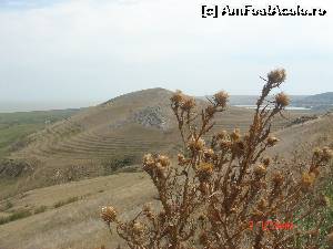 [P28] 'Dobrogea, Dobrogea'!  » foto by crismis
 - 
<span class="allrVoted glyphicon glyphicon-heart hidden" id="av603976"></span>
<a class="m-l-10 hidden" id="sv603976" onclick="voting_Foto_DelVot(,603976,4623)" role="button">șterge vot <span class="glyphicon glyphicon-remove"></span></a>
<a id="v9603976" class=" c-red"  onclick="voting_Foto_SetVot(603976)" role="button"><span class="glyphicon glyphicon-heart-empty"></span> <b>LIKE</b> = Votează poza</a> <img class="hidden"  id="f603976W9" src="/imagini/loader.gif" border="0" /><span class="AjErrMes hidden" id="e603976ErM"></span>