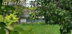 [P17] Casă în satul Izvoarele, Dobrogea. » foto by Aurici
 - 
<span class="allrVoted glyphicon glyphicon-heart hidden" id="av1169398"></span>
<a class="m-l-10 hidden" id="sv1169398" onclick="voting_Foto_DelVot(,1169398,4623)" role="button">șterge vot <span class="glyphicon glyphicon-remove"></span></a>
<a id="v91169398" class=" c-red"  onclick="voting_Foto_SetVot(1169398)" role="button"><span class="glyphicon glyphicon-heart-empty"></span> <b>LIKE</b> = Votează poza</a> <img class="hidden"  id="f1169398W9" src="/imagini/loader.gif" border="0" /><span class="AjErrMes hidden" id="e1169398ErM"></span>