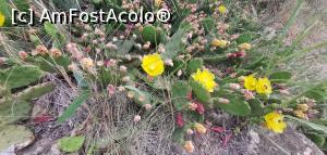 [P22] La poarta bisericii din Izvoarele unde am mâncat colacul și coliva primite de la părinte. » foto by Aurici
 - 
<span class="allrVoted glyphicon glyphicon-heart hidden" id="av1169403"></span>
<a class="m-l-10 hidden" id="sv1169403" onclick="voting_Foto_DelVot(,1169403,4623)" role="button">șterge vot <span class="glyphicon glyphicon-remove"></span></a>
<a id="v91169403" class=" c-red"  onclick="voting_Foto_SetVot(1169403)" role="button"><span class="glyphicon glyphicon-heart-empty"></span> <b>LIKE</b> = Votează poza</a> <img class="hidden"  id="f1169403W9" src="/imagini/loader.gif" border="0" /><span class="AjErrMes hidden" id="e1169403ErM"></span>
