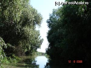 [P30]  -- <small>// FĂRĂ DESCRIERE</small> » foto by arru
 - 
<span class="allrVoted glyphicon glyphicon-heart hidden" id="av532192"></span>
<a class="m-l-10 hidden" id="sv532192" onclick="voting_Foto_DelVot(,532192,4623)" role="button">șterge vot <span class="glyphicon glyphicon-remove"></span></a>
<a id="v9532192" class=" c-red"  onclick="voting_Foto_SetVot(532192)" role="button"><span class="glyphicon glyphicon-heart-empty"></span> <b>LIKE</b> = Votează poza</a> <img class="hidden"  id="f532192W9" src="/imagini/loader.gif" border="0" /><span class="AjErrMes hidden" id="e532192ErM"></span>