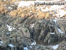 [P31] Şisturile verzi precambriene, aflorând spectaculos în Podişul Casimcei (Istriei)... Sunt rocile de fundament, slab metamorfozate şi cutate în orogeneza caledonică, ce au ca mineral principal cloritul (filosilicat ce cristalizează monoclinic, cu clivaj perfect, având culoarea verde).  » foto by Neptunus
 - 
<span class="allrVoted glyphicon glyphicon-heart hidden" id="av471331"></span>
<a class="m-l-10 hidden" id="sv471331" onclick="voting_Foto_DelVot(,471331,4623)" role="button">șterge vot <span class="glyphicon glyphicon-remove"></span></a>
<a id="v9471331" class=" c-red"  onclick="voting_Foto_SetVot(471331)" role="button"><span class="glyphicon glyphicon-heart-empty"></span> <b>LIKE</b> = Votează poza</a> <img class="hidden"  id="f471331W9" src="/imagini/loader.gif" border="0" /><span class="AjErrMes hidden" id="e471331ErM"></span>