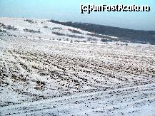 [P21] Limita geografică dintre stepă şi pădure, surprinsă iarna, între Podişul Casimcei şi cel al Babadagului...  » foto by Neptunus
 - 
<span class="allrVoted glyphicon glyphicon-heart hidden" id="av471378"></span>
<a class="m-l-10 hidden" id="sv471378" onclick="voting_Foto_DelVot(,471378,4623)" role="button">șterge vot <span class="glyphicon glyphicon-remove"></span></a>
<a id="v9471378" class=" c-red"  onclick="voting_Foto_SetVot(471378)" role="button"><span class="glyphicon glyphicon-heart-empty"></span> <b>LIKE</b> = Votează poza</a> <img class="hidden"  id="f471378W9" src="/imagini/loader.gif" border="0" /><span class="AjErrMes hidden" id="e471378ErM"></span>