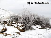 [P11] Pietroaie şi arbuşti cu chiciură... Ce poate fi mai frumos? ... Mai ales când iubeşti iarna, ţi se relevă aici un paradis...  » foto by Neptunus
 - 
<span class="allrVoted glyphicon glyphicon-heart hidden" id="av471587"></span>
<a class="m-l-10 hidden" id="sv471587" onclick="voting_Foto_DelVot(,471587,4623)" role="button">șterge vot <span class="glyphicon glyphicon-remove"></span></a>
<a id="v9471587" class=" c-red"  onclick="voting_Foto_SetVot(471587)" role="button"><span class="glyphicon glyphicon-heart-empty"></span> <b>LIKE</b> = Votează poza</a> <img class="hidden"  id="f471587W9" src="/imagini/loader.gif" border="0" /><span class="AjErrMes hidden" id="e471587ErM"></span>
