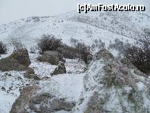 [P17] Iarna, pe Beştepe... Peisaje cum numai în basme poţi întâlni... Iată că, aici, basmul devine realitate...  » foto by Neptunus
 - 
<span class="allrVoted glyphicon glyphicon-heart hidden" id="av471593"></span>
<a class="m-l-10 hidden" id="sv471593" onclick="voting_Foto_DelVot(,471593,4623)" role="button">șterge vot <span class="glyphicon glyphicon-remove"></span></a>
<a id="v9471593" class=" c-red"  onclick="voting_Foto_SetVot(471593)" role="button"><span class="glyphicon glyphicon-heart-empty"></span> <b>LIKE</b> = Votează poza</a> <img class="hidden"  id="f471593W9" src="/imagini/loader.gif" border="0" /><span class="AjErrMes hidden" id="e471593ErM"></span>