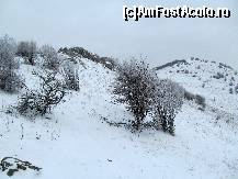 [P21] Iarna, pe Beştepe... Peisaje minunate...  » foto by Neptunus
 - 
<span class="allrVoted glyphicon glyphicon-heart hidden" id="av471597"></span>
<a class="m-l-10 hidden" id="sv471597" onclick="voting_Foto_DelVot(,471597,4623)" role="button">șterge vot <span class="glyphicon glyphicon-remove"></span></a>
<a id="v9471597" class=" c-red"  onclick="voting_Foto_SetVot(471597)" role="button"><span class="glyphicon glyphicon-heart-empty"></span> <b>LIKE</b> = Votează poza</a> <img class="hidden"  id="f471597W9" src="/imagini/loader.gif" border="0" /><span class="AjErrMes hidden" id="e471597ErM"></span>