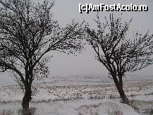 [P04] Vedere spre Beştepe dinspre şosea.  » foto by Neptunus
 - 
<span class="allrVoted glyphicon glyphicon-heart hidden" id="av471580"></span>
<a class="m-l-10 hidden" id="sv471580" onclick="voting_Foto_DelVot(,471580,4623)" role="button">șterge vot <span class="glyphicon glyphicon-remove"></span></a>
<a id="v9471580" class=" c-red"  onclick="voting_Foto_SetVot(471580)" role="button"><span class="glyphicon glyphicon-heart-empty"></span> <b>LIKE</b> = Votează poza</a> <img class="hidden"  id="f471580W9" src="/imagini/loader.gif" border="0" /><span class="AjErrMes hidden" id="e471580ErM"></span>
