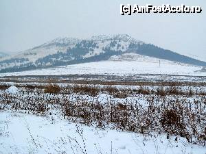 [P03] Vedere spre Dealul Chervant (204 m alt.), unde se remarcă şi plantaţii de pini...  » foto by Neptunus
 - 
<span class="allrVoted glyphicon glyphicon-heart hidden" id="av471786"></span>
<a class="m-l-10 hidden" id="sv471786" onclick="voting_Foto_DelVot(,471786,4623)" role="button">șterge vot <span class="glyphicon glyphicon-remove"></span></a>
<a id="v9471786" class=" c-red"  onclick="voting_Foto_SetVot(471786)" role="button"><span class="glyphicon glyphicon-heart-empty"></span> <b>LIKE</b> = Votează poza</a> <img class="hidden"  id="f471786W9" src="/imagini/loader.gif" border="0" /><span class="AjErrMes hidden" id="e471786ErM"></span>