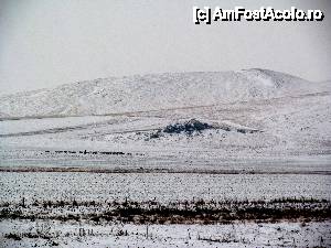 [P06] Pustietate hibernală nord-dobrogeană... Un peisaj impresionant pentru iubitorii stepei şi ai iernii...  » foto by Neptunus
 - 
<span class="allrVoted glyphicon glyphicon-heart hidden" id="av471789"></span>
<a class="m-l-10 hidden" id="sv471789" onclick="voting_Foto_DelVot(,471789,4623)" role="button">șterge vot <span class="glyphicon glyphicon-remove"></span></a>
<a id="v9471789" class=" c-red"  onclick="voting_Foto_SetVot(471789)" role="button"><span class="glyphicon glyphicon-heart-empty"></span> <b>LIKE</b> = Votează poza</a> <img class="hidden"  id="f471789W9" src="/imagini/loader.gif" border="0" /><span class="AjErrMes hidden" id="e471789ErM"></span>