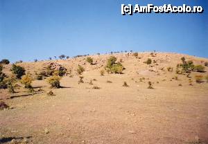[P03] Chiar dacă apar şi arbuşti, ansamblul vegetaţiei relevă un peisaj arid...  » foto by Neptunus
 - 
<span class="allrVoted glyphicon glyphicon-heart hidden" id="av472580"></span>
<a class="m-l-10 hidden" id="sv472580" onclick="voting_Foto_DelVot(,472580,4623)" role="button">șterge vot <span class="glyphicon glyphicon-remove"></span></a>
<a id="v9472580" class=" c-red"  onclick="voting_Foto_SetVot(472580)" role="button"><span class="glyphicon glyphicon-heart-empty"></span> <b>LIKE</b> = Votează poza</a> <img class="hidden"  id="f472580W9" src="/imagini/loader.gif" border="0" /><span class="AjErrMes hidden" id="e472580ErM"></span>