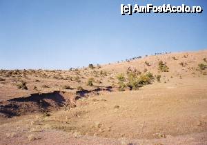 [P06] Peisaj arid la Dl. Consul...  » foto by Neptunus
 - 
<span class="allrVoted glyphicon glyphicon-heart hidden" id="av472583"></span>
<a class="m-l-10 hidden" id="sv472583" onclick="voting_Foto_DelVot(,472583,4623)" role="button">șterge vot <span class="glyphicon glyphicon-remove"></span></a>
<a id="v9472583" class=" c-red"  onclick="voting_Foto_SetVot(472583)" role="button"><span class="glyphicon glyphicon-heart-empty"></span> <b>LIKE</b> = Votează poza</a> <img class="hidden"  id="f472583W9" src="/imagini/loader.gif" border="0" /><span class="AjErrMes hidden" id="e472583ErM"></span>