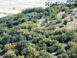 [P11] Pădure la Beştepe.  » foto by Neptunus
 - 
<span class="allrVoted glyphicon glyphicon-heart hidden" id="av473500"></span>
<a class="m-l-10 hidden" id="sv473500" onclick="voting_Foto_DelVot(,473500,4623)" role="button">șterge vot <span class="glyphicon glyphicon-remove"></span></a>
<a id="v9473500" class=" c-red"  onclick="voting_Foto_SetVot(473500)" role="button"><span class="glyphicon glyphicon-heart-empty"></span> <b>LIKE</b> = Votează poza</a> <img class="hidden"  id="f473500W9" src="/imagini/loader.gif" border="0" /><span class="AjErrMes hidden" id="e473500ErM"></span>