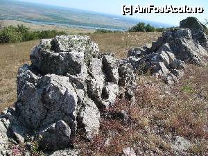 [P13] Stânci devoniene la Beştepe...  » foto by Neptunus
 - 
<span class="allrVoted glyphicon glyphicon-heart hidden" id="av473502"></span>
<a class="m-l-10 hidden" id="sv473502" onclick="voting_Foto_DelVot(,473502,4623)" role="button">șterge vot <span class="glyphicon glyphicon-remove"></span></a>
<a id="v9473502" class=" c-red"  onclick="voting_Foto_SetVot(473502)" role="button"><span class="glyphicon glyphicon-heart-empty"></span> <b>LIKE</b> = Votează poza</a> <img class="hidden"  id="f473502W9" src="/imagini/loader.gif" border="0" /><span class="AjErrMes hidden" id="e473502ErM"></span>
