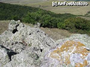[P26] Pietroaie, pădure, stepă... Toate acestea le întâlneşti pe Beştepe, sincretizându-se armonios...  » foto by Neptunus
 - 
<span class="allrVoted glyphicon glyphicon-heart hidden" id="av473515"></span>
<a class="m-l-10 hidden" id="sv473515" onclick="voting_Foto_DelVot(,473515,4623)" role="button">șterge vot <span class="glyphicon glyphicon-remove"></span></a>
<a id="v9473515" class=" c-red"  onclick="voting_Foto_SetVot(473515)" role="button"><span class="glyphicon glyphicon-heart-empty"></span> <b>LIKE</b> = Votează poza</a> <img class="hidden"  id="f473515W9" src="/imagini/loader.gif" border="0" /><span class="AjErrMes hidden" id="e473515ErM"></span>