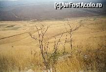 [P12] Crengi desfrunzite, în plin peisaj autumnal semiarid...  » foto by Neptunus
 - 
<span class="allrVoted glyphicon glyphicon-heart hidden" id="av474163"></span>
<a class="m-l-10 hidden" id="sv474163" onclick="voting_Foto_DelVot(,474163,4623)" role="button">șterge vot <span class="glyphicon glyphicon-remove"></span></a>
<a id="v9474163" class=" c-red"  onclick="voting_Foto_SetVot(474163)" role="button"><span class="glyphicon glyphicon-heart-empty"></span> <b>LIKE</b> = Votează poza</a> <img class="hidden"  id="f474163W9" src="/imagini/loader.gif" border="0" /><span class="AjErrMes hidden" id="e474163ErM"></span>