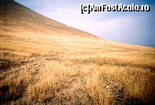 [P20] Galbenul toamnei, la Deniz-Tepe... O invitaţie la a petrece zile minunate în mijlocul naturii sălbatice...  » foto by Neptunus
 - 
<span class="allrVoted glyphicon glyphicon-heart hidden" id="av474171"></span>
<a class="m-l-10 hidden" id="sv474171" onclick="voting_Foto_DelVot(,474171,4623)" role="button">șterge vot <span class="glyphicon glyphicon-remove"></span></a>
<a id="v9474171" class=" c-red"  onclick="voting_Foto_SetVot(474171)" role="button"><span class="glyphicon glyphicon-heart-empty"></span> <b>LIKE</b> = Votează poza</a> <img class="hidden"  id="f474171W9" src="/imagini/loader.gif" border="0" /><span class="AjErrMes hidden" id="e474171ErM"></span>