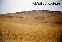 [P04] Iarbă galbenă de octombrie, la Deniz-Tepe...  » foto by Neptunus
 - 
<span class="allrVoted glyphicon glyphicon-heart hidden" id="av474144"></span>
<a class="m-l-10 hidden" id="sv474144" onclick="voting_Foto_DelVot(,474144,4623)" role="button">șterge vot <span class="glyphicon glyphicon-remove"></span></a>
<a id="v9474144" class=" c-red"  onclick="voting_Foto_SetVot(474144)" role="button"><span class="glyphicon glyphicon-heart-empty"></span> <b>LIKE</b> = Votează poza</a> <img class="hidden"  id="f474144W9" src="/imagini/loader.gif" border="0" /><span class="AjErrMes hidden" id="e474144ErM"></span>