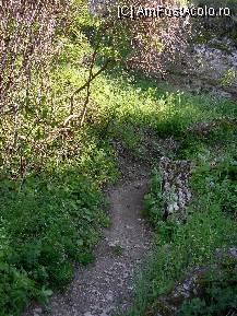 [P15] De la Pestera Ioan Casian spre izvor » foto by ancamariagadea*
 - 
<span class="allrVoted glyphicon glyphicon-heart hidden" id="av78842"></span>
<a class="m-l-10 hidden" id="sv78842" onclick="voting_Foto_DelVot(,78842,4623)" role="button">șterge vot <span class="glyphicon glyphicon-remove"></span></a>
<a id="v978842" class=" c-red"  onclick="voting_Foto_SetVot(78842)" role="button"><span class="glyphicon glyphicon-heart-empty"></span> <b>LIKE</b> = Votează poza</a> <img class="hidden"  id="f78842W9" src="/imagini/loader.gif" border="0" /><span class="AjErrMes hidden" id="e78842ErM"></span>