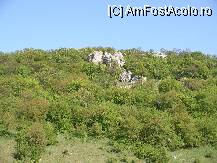 [P22] Zona Pesterii Ioan Casian » foto by ancamariagadea*
 - 
<span class="allrVoted glyphicon glyphicon-heart hidden" id="av78849"></span>
<a class="m-l-10 hidden" id="sv78849" onclick="voting_Foto_DelVot(,78849,4623)" role="button">șterge vot <span class="glyphicon glyphicon-remove"></span></a>
<a id="v978849" class=" c-red"  onclick="voting_Foto_SetVot(78849)" role="button"><span class="glyphicon glyphicon-heart-empty"></span> <b>LIKE</b> = Votează poza</a> <img class="hidden"  id="f78849W9" src="/imagini/loader.gif" border="0" /><span class="AjErrMes hidden" id="e78849ErM"></span>