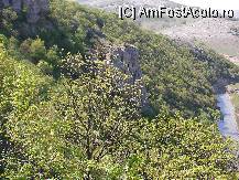 [P07] Coborand spre Pestera Ioan Casian » foto by ancamariagadea*
 - 
<span class="allrVoted glyphicon glyphicon-heart hidden" id="av78834"></span>
<a class="m-l-10 hidden" id="sv78834" onclick="voting_Foto_DelVot(,78834,4623)" role="button">șterge vot <span class="glyphicon glyphicon-remove"></span></a>
<a id="v978834" class=" c-red"  onclick="voting_Foto_SetVot(78834)" role="button"><span class="glyphicon glyphicon-heart-empty"></span> <b>LIKE</b> = Votează poza</a> <img class="hidden"  id="f78834W9" src="/imagini/loader.gif" border="0" /><span class="AjErrMes hidden" id="e78834ErM"></span>