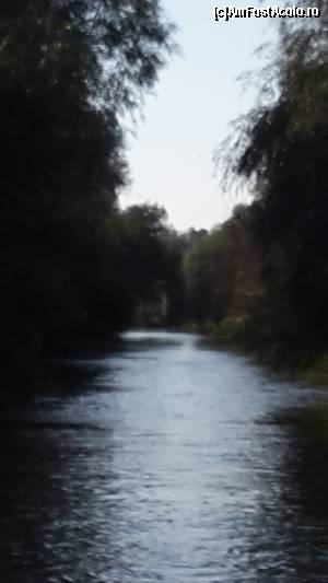 [P12]  -- <small>// FĂRĂ DESCRIERE</small> » foto by ccbg*
 - 
<span class="allrVoted glyphicon glyphicon-heart hidden" id="av688985"></span>
<a class="m-l-10 hidden" id="sv688985" onclick="voting_Foto_DelVot(,688985,4623)" role="button">șterge vot <span class="glyphicon glyphicon-remove"></span></a>
<a id="v9688985" class=" c-red"  onclick="voting_Foto_SetVot(688985)" role="button"><span class="glyphicon glyphicon-heart-empty"></span> <b>LIKE</b> = Votează poza</a> <img class="hidden"  id="f688985W9" src="/imagini/loader.gif" border="0" /><span class="AjErrMes hidden" id="e688985ErM"></span>
