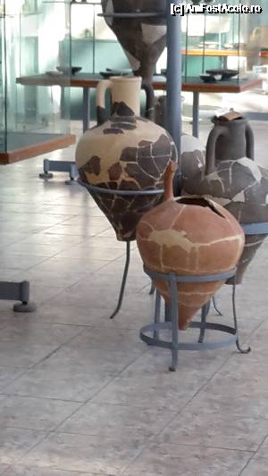 [P19]  -- <small>// FĂRĂ DESCRIERE</small> » foto by ccbg*
 - 
<span class="allrVoted glyphicon glyphicon-heart hidden" id="av689015"></span>
<a class="m-l-10 hidden" id="sv689015" onclick="voting_Foto_DelVot(,689015,4623)" role="button">șterge vot <span class="glyphicon glyphicon-remove"></span></a>
<a id="v9689015" class=" c-red"  onclick="voting_Foto_SetVot(689015)" role="button"><span class="glyphicon glyphicon-heart-empty"></span> <b>LIKE</b> = Votează poza</a> <img class="hidden"  id="f689015W9" src="/imagini/loader.gif" border="0" /><span class="AjErrMes hidden" id="e689015ErM"></span>