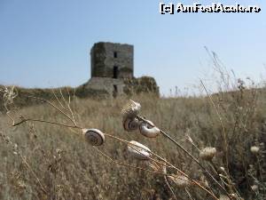 [P15] Peisaj arid lângă Enisala.  » foto by tata123 🔱
 - 
<span class="allrVoted glyphicon glyphicon-heart hidden" id="av649188"></span>
<a class="m-l-10 hidden" id="sv649188" onclick="voting_Foto_DelVot(,649188,4623)" role="button">șterge vot <span class="glyphicon glyphicon-remove"></span></a>
<a id="v9649188" class=" c-red"  onclick="voting_Foto_SetVot(649188)" role="button"><span class="glyphicon glyphicon-heart-empty"></span> <b>LIKE</b> = Votează poza</a> <img class="hidden"  id="f649188W9" src="/imagini/loader.gif" border="0" /><span class="AjErrMes hidden" id="e649188ErM"></span>