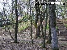 [P21] Platoul Cornesti Tg. Mures - scarile care duc la panta de acrobatii » foto by biancuta
 - 
<span class="allrVoted glyphicon glyphicon-heart hidden" id="av67496"></span>
<a class="m-l-10 hidden" id="sv67496" onclick="voting_Foto_DelVot(,67496,4629)" role="button">șterge vot <span class="glyphicon glyphicon-remove"></span></a>
<a id="v967496" class=" c-red"  onclick="voting_Foto_SetVot(67496)" role="button"><span class="glyphicon glyphicon-heart-empty"></span> <b>LIKE</b> = Votează poza</a> <img class="hidden"  id="f67496W9" src="/imagini/loader.gif" border="0" /><span class="AjErrMes hidden" id="e67496ErM"></span>