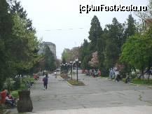 [P09] Tg. Mures - parcul din Piata Trandafirilor » foto by biancuta
 - 
<span class="allrVoted glyphicon glyphicon-heart hidden" id="av68297"></span>
<a class="m-l-10 hidden" id="sv68297" onclick="voting_Foto_DelVot(,68297,4629)" role="button">șterge vot <span class="glyphicon glyphicon-remove"></span></a>
<a id="v968297" class=" c-red"  onclick="voting_Foto_SetVot(68297)" role="button"><span class="glyphicon glyphicon-heart-empty"></span> <b>LIKE</b> = Votează poza</a> <img class="hidden"  id="f68297W9" src="/imagini/loader.gif" border="0" /><span class="AjErrMes hidden" id="e68297ErM"></span>