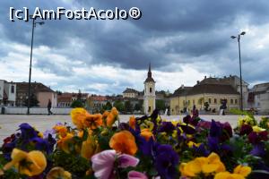 [P01] În Piața Teatrului din Târgu-Mureș-în fundal turnul fostei biserici franciscane » foto by AZE
 - 
<span class="allrVoted glyphicon glyphicon-heart hidden" id="av958692"></span>
<a class="m-l-10 hidden" id="sv958692" onclick="voting_Foto_DelVot(,958692,4629)" role="button">șterge vot <span class="glyphicon glyphicon-remove"></span></a>
<a id="v9958692" class=" c-red"  onclick="voting_Foto_SetVot(958692)" role="button"><span class="glyphicon glyphicon-heart-empty"></span> <b>LIKE</b> = Votează poza</a> <img class="hidden"  id="f958692W9" src="/imagini/loader.gif" border="0" /><span class="AjErrMes hidden" id="e958692ErM"></span>