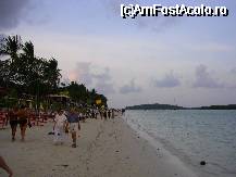 [P12] Chaweng beach » foto by Pami*
 - 
<span class="allrVoted glyphicon glyphicon-heart hidden" id="av42805"></span>
<a class="m-l-10 hidden" id="sv42805" onclick="voting_Foto_DelVot(,42805,4636)" role="button">șterge vot <span class="glyphicon glyphicon-remove"></span></a>
<a id="v942805" class=" c-red"  onclick="voting_Foto_SetVot(42805)" role="button"><span class="glyphicon glyphicon-heart-empty"></span> <b>LIKE</b> = Votează poza</a> <img class="hidden"  id="f42805W9" src="/imagini/loader.gif" border="0" /><span class="AjErrMes hidden" id="e42805ErM"></span>