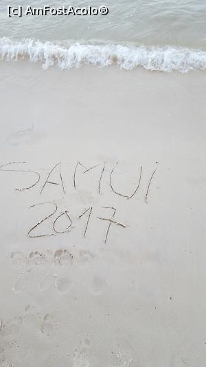 [P13] Samui, iti vom duce dorul...  » foto by r-Uca
 - 
<span class="allrVoted glyphicon glyphicon-heart hidden" id="av938693"></span>
<a class="m-l-10 hidden" id="sv938693" onclick="voting_Foto_DelVot(,938693,4636)" role="button">șterge vot <span class="glyphicon glyphicon-remove"></span></a>
<a id="v9938693" class=" c-red"  onclick="voting_Foto_SetVot(938693)" role="button"><span class="glyphicon glyphicon-heart-empty"></span> <b>LIKE</b> = Votează poza</a> <img class="hidden"  id="f938693W9" src="/imagini/loader.gif" border="0" /><span class="AjErrMes hidden" id="e938693ErM"></span>