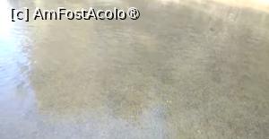 [P01] Ciorogârla la Domnești, la scăldat » foto by Mioritik
 - 
<span class="allrVoted glyphicon glyphicon-heart hidden" id="av1394671"></span>
<a class="m-l-10 hidden" id="sv1394671" onclick="voting_Foto_DelVot(,1394671,4638)" role="button">șterge vot <span class="glyphicon glyphicon-remove"></span></a>
<a id="v91394671" class=" c-red"  onclick="voting_Foto_SetVot(1394671)" role="button"><span class="glyphicon glyphicon-heart-empty"></span> <b>LIKE</b> = Votează poza</a> <img class="hidden"  id="f1394671W9" src="/imagini/loader.gif" border="0" /><span class="AjErrMes hidden" id="e1394671ErM"></span>
