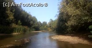 [P18] Ciorogârla la Domnești, la scăldat » foto by Mioritik
 - 
<span class="allrVoted glyphicon glyphicon-heart hidden" id="av1394688"></span>
<a class="m-l-10 hidden" id="sv1394688" onclick="voting_Foto_DelVot(,1394688,4638)" role="button">șterge vot <span class="glyphicon glyphicon-remove"></span></a>
<a id="v91394688" class=" c-red"  onclick="voting_Foto_SetVot(1394688)" role="button"><span class="glyphicon glyphicon-heart-empty"></span> <b>LIKE</b> = Votează poza</a> <img class="hidden"  id="f1394688W9" src="/imagini/loader.gif" border="0" /><span class="AjErrMes hidden" id="e1394688ErM"></span>