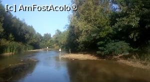 [P20] Ciorogârla la Domnești, la scăldat » foto by Mioritik
 - 
<span class="allrVoted glyphicon glyphicon-heart hidden" id="av1394690"></span>
<a class="m-l-10 hidden" id="sv1394690" onclick="voting_Foto_DelVot(,1394690,4638)" role="button">șterge vot <span class="glyphicon glyphicon-remove"></span></a>
<a id="v91394690" class=" c-red"  onclick="voting_Foto_SetVot(1394690)" role="button"><span class="glyphicon glyphicon-heart-empty"></span> <b>LIKE</b> = Votează poza</a> <img class="hidden"  id="f1394690W9" src="/imagini/loader.gif" border="0" /><span class="AjErrMes hidden" id="e1394690ErM"></span>