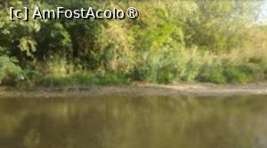 [P21] Ciorogârla la Domnești, la scăldat » foto by Mioritik
 - 
<span class="allrVoted glyphicon glyphicon-heart hidden" id="av1394691"></span>
<a class="m-l-10 hidden" id="sv1394691" onclick="voting_Foto_DelVot(,1394691,4638)" role="button">șterge vot <span class="glyphicon glyphicon-remove"></span></a>
<a id="v91394691" class=" c-red"  onclick="voting_Foto_SetVot(1394691)" role="button"><span class="glyphicon glyphicon-heart-empty"></span> <b>LIKE</b> = Votează poza</a> <img class="hidden"  id="f1394691W9" src="/imagini/loader.gif" border="0" /><span class="AjErrMes hidden" id="e1394691ErM"></span>