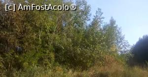 [P05] Ciorogârla la Domnești, la scăldat » foto by Mioritik
 - 
<span class="allrVoted glyphicon glyphicon-heart hidden" id="av1394675"></span>
<a class="m-l-10 hidden" id="sv1394675" onclick="voting_Foto_DelVot(,1394675,4638)" role="button">șterge vot <span class="glyphicon glyphicon-remove"></span></a>
<a id="v91394675" class=" c-red"  onclick="voting_Foto_SetVot(1394675)" role="button"><span class="glyphicon glyphicon-heart-empty"></span> <b>LIKE</b> = Votează poza</a> <img class="hidden"  id="f1394675W9" src="/imagini/loader.gif" border="0" /><span class="AjErrMes hidden" id="e1394675ErM"></span>