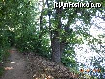 [P14] Pădurea Pustnicu - Cărarea, lacul şi arborii umbroşi de la mal.  » foto by iulianic
 - 
<span class="allrVoted glyphicon glyphicon-heart hidden" id="av416195"></span>
<a class="m-l-10 hidden" id="sv416195" onclick="voting_Foto_DelVot(,416195,4638)" role="button">șterge vot <span class="glyphicon glyphicon-remove"></span></a>
<a id="v9416195" class=" c-red"  onclick="voting_Foto_SetVot(416195)" role="button"><span class="glyphicon glyphicon-heart-empty"></span> <b>LIKE</b> = Votează poza</a> <img class="hidden"  id="f416195W9" src="/imagini/loader.gif" border="0" /><span class="AjErrMes hidden" id="e416195ErM"></span>