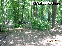 [P23] Pădurea Pustnicu - Maşini parcate în pădure.  » foto by iulianic
 - 
<span class="allrVoted glyphicon glyphicon-heart hidden" id="av416207"></span>
<a class="m-l-10 hidden" id="sv416207" onclick="voting_Foto_DelVot(,416207,4638)" role="button">șterge vot <span class="glyphicon glyphicon-remove"></span></a>
<a id="v9416207" class=" c-red"  onclick="voting_Foto_SetVot(416207)" role="button"><span class="glyphicon glyphicon-heart-empty"></span> <b>LIKE</b> = Votează poza</a> <img class="hidden"  id="f416207W9" src="/imagini/loader.gif" border="0" /><span class="AjErrMes hidden" id="e416207ErM"></span>