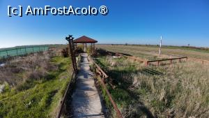 [P03] Aerodromul Letca Nouă - pista înierbată » foto by Dragoș_MD
 - 
<span class="allrVoted glyphicon glyphicon-heart hidden" id="av1469618"></span>
<a class="m-l-10 hidden" id="sv1469618" onclick="voting_Foto_DelVot(,1469618,4638)" role="button">șterge vot <span class="glyphicon glyphicon-remove"></span></a>
<a id="v91469618" class=" c-red"  onclick="voting_Foto_SetVot(1469618)" role="button"><span class="glyphicon glyphicon-heart-empty"></span> <b>LIKE</b> = Votează poza</a> <img class="hidden"  id="f1469618W9" src="/imagini/loader.gif" border="0" /><span class="AjErrMes hidden" id="e1469618ErM"></span>