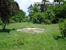 [P13] Palatul lui Alexandru Ghica - ce a mai ramas din fantana arteziana din gradina din spatele palatului » foto by Diaura*
 - 
<span class="allrVoted glyphicon glyphicon-heart hidden" id="av77175"></span>
<a class="m-l-10 hidden" id="sv77175" onclick="voting_Foto_DelVot(,77175,4638)" role="button">șterge vot <span class="glyphicon glyphicon-remove"></span></a>
<a id="v977175" class=" c-red"  onclick="voting_Foto_SetVot(77175)" role="button"><span class="glyphicon glyphicon-heart-empty"></span> <b>LIKE</b> = Votează poza</a> <img class="hidden"  id="f77175W9" src="/imagini/loader.gif" border="0" /><span class="AjErrMes hidden" id="e77175ErM"></span>