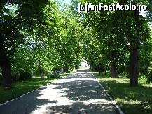 [P02] Palatul lui Alexandru Ghica - aleea ce duce spre palat » foto by Diaura*
 - 
<span class="allrVoted glyphicon glyphicon-heart hidden" id="av77164"></span>
<a class="m-l-10 hidden" id="sv77164" onclick="voting_Foto_DelVot(,77164,4638)" role="button">șterge vot <span class="glyphicon glyphicon-remove"></span></a>
<a id="v977164" class=" c-red"  onclick="voting_Foto_SetVot(77164)" role="button"><span class="glyphicon glyphicon-heart-empty"></span> <b>LIKE</b> = Votează poza</a> <img class="hidden"  id="f77164W9" src="/imagini/loader.gif" border="0" /><span class="AjErrMes hidden" id="e77164ErM"></span>