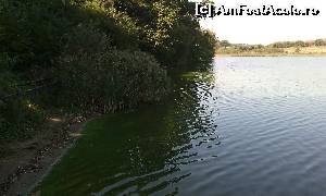 [P03] Pădurea Pustnicu. Lacul... cam murdar :- ( » foto by FlorinAndrei
 - 
<span class="allrVoted glyphicon glyphicon-heart hidden" id="av615149"></span>
<a class="m-l-10 hidden" id="sv615149" onclick="voting_Foto_DelVot(,615149,4638)" role="button">șterge vot <span class="glyphicon glyphicon-remove"></span></a>
<a id="v9615149" class=" c-red"  onclick="voting_Foto_SetVot(615149)" role="button"><span class="glyphicon glyphicon-heart-empty"></span> <b>LIKE</b> = Votează poza</a> <img class="hidden"  id="f615149W9" src="/imagini/loader.gif" border="0" /><span class="AjErrMes hidden" id="e615149ErM"></span>