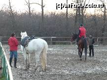 [P10] Clubul de Calarie Riding - Cei doi cai frumosi care erau in padocul principal. » foto by Horia
 - 
<span class="allrVoted glyphicon glyphicon-heart hidden" id="av173301"></span>
<a class="m-l-10 hidden" id="sv173301" onclick="voting_Foto_DelVot(,173301,4638)" role="button">șterge vot <span class="glyphicon glyphicon-remove"></span></a>
<a id="v9173301" class=" c-red"  onclick="voting_Foto_SetVot(173301)" role="button"><span class="glyphicon glyphicon-heart-empty"></span> <b>LIKE</b> = Votează poza</a> <img class="hidden"  id="f173301W9" src="/imagini/loader.gif" border="0" /><span class="AjErrMes hidden" id="e173301ErM"></span>