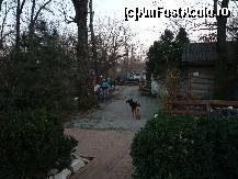 [P09] Clubul de Calarie Riding - Soseste Jerry, poneiul romanesc impreuna cu ingrijitorul sau. » foto by Horia
 - 
<span class="allrVoted glyphicon glyphicon-heart hidden" id="av173300"></span>
<a class="m-l-10 hidden" id="sv173300" onclick="voting_Foto_DelVot(,173300,4638)" role="button">șterge vot <span class="glyphicon glyphicon-remove"></span></a>
<a id="v9173300" class=" c-red"  onclick="voting_Foto_SetVot(173300)" role="button"><span class="glyphicon glyphicon-heart-empty"></span> <b>LIKE</b> = Votează poza</a> <img class="hidden"  id="f173300W9" src="/imagini/loader.gif" border="0" /><span class="AjErrMes hidden" id="e173300ErM"></span>