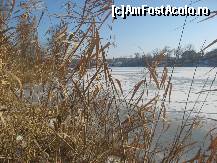 [P10] Pe lacul de agrement, vara se poate face canotaj iar iarna, patinaj » foto by dorgo
 - 
<span class="allrVoted glyphicon glyphicon-heart hidden" id="av477184"></span>
<a class="m-l-10 hidden" id="sv477184" onclick="voting_Foto_DelVot(,477184,4638)" role="button">șterge vot <span class="glyphicon glyphicon-remove"></span></a>
<a id="v9477184" class=" c-red"  onclick="voting_Foto_SetVot(477184)" role="button"><span class="glyphicon glyphicon-heart-empty"></span> <b>LIKE</b> = Votează poza</a> <img class="hidden"  id="f477184W9" src="/imagini/loader.gif" border="0" /><span class="AjErrMes hidden" id="e477184ErM"></span>