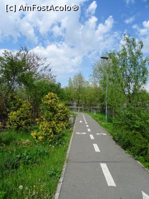 [P12] Parcul dendrologic Chitila. » foto by tata123 🔱
 - 
<span class="allrVoted glyphicon glyphicon-heart hidden" id="av1319730"></span>
<a class="m-l-10 hidden" id="sv1319730" onclick="voting_Foto_DelVot(,1319730,4638)" role="button">șterge vot <span class="glyphicon glyphicon-remove"></span></a>
<a id="v91319730" class=" c-red"  onclick="voting_Foto_SetVot(1319730)" role="button"><span class="glyphicon glyphicon-heart-empty"></span> <b>LIKE</b> = Votează poza</a> <img class="hidden"  id="f1319730W9" src="/imagini/loader.gif" border="0" /><span class="AjErrMes hidden" id="e1319730ErM"></span>