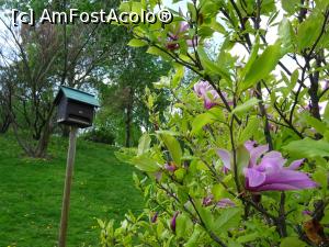 [P02] Parcul dendrologic Chitila. » foto by tata123 🔱
 - 
<span class="allrVoted glyphicon glyphicon-heart hidden" id="av1319720"></span>
<a class="m-l-10 hidden" id="sv1319720" onclick="voting_Foto_DelVot(,1319720,4638)" role="button">șterge vot <span class="glyphicon glyphicon-remove"></span></a>
<a id="v91319720" class=" c-red"  onclick="voting_Foto_SetVot(1319720)" role="button"><span class="glyphicon glyphicon-heart-empty"></span> <b>LIKE</b> = Votează poza</a> <img class="hidden"  id="f1319720W9" src="/imagini/loader.gif" border="0" /><span class="AjErrMes hidden" id="e1319720ErM"></span>
