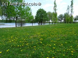 [P03] Parcul dendrologic Chitila. » foto by tata123 🔱
 - 
<span class="allrVoted glyphicon glyphicon-heart hidden" id="av1319721"></span>
<a class="m-l-10 hidden" id="sv1319721" onclick="voting_Foto_DelVot(,1319721,4638)" role="button">șterge vot <span class="glyphicon glyphicon-remove"></span></a>
<a id="v91319721" class=" c-red"  onclick="voting_Foto_SetVot(1319721)" role="button"><span class="glyphicon glyphicon-heart-empty"></span> <b>LIKE</b> = Votează poza</a> <img class="hidden"  id="f1319721W9" src="/imagini/loader.gif" border="0" /><span class="AjErrMes hidden" id="e1319721ErM"></span>