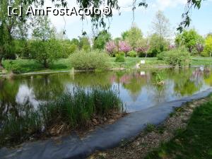[P08] Parcul dendrologic Chitila. » foto by tata123 🔱
 - 
<span class="allrVoted glyphicon glyphicon-heart hidden" id="av1319726"></span>
<a class="m-l-10 hidden" id="sv1319726" onclick="voting_Foto_DelVot(,1319726,4638)" role="button">șterge vot <span class="glyphicon glyphicon-remove"></span></a>
<a id="v91319726" class=" c-red"  onclick="voting_Foto_SetVot(1319726)" role="button"><span class="glyphicon glyphicon-heart-empty"></span> <b>LIKE</b> = Votează poza</a> <img class="hidden"  id="f1319726W9" src="/imagini/loader.gif" border="0" /><span class="AjErrMes hidden" id="e1319726ErM"></span>